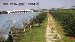 Caméra IP - CN