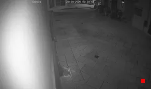 Caméra IP - IT
