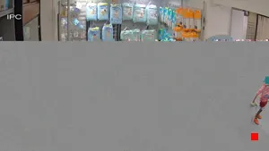 Caméra IP - EG