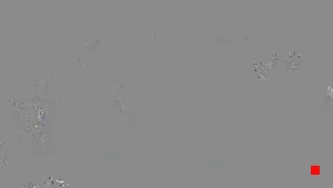 Caméra IP - IT