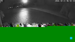 Caméra IP - Vue en direct