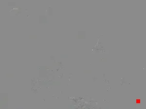 Caméra IP - DE