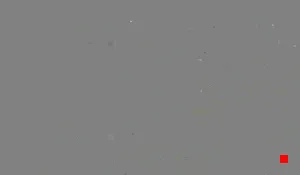 Caméra IP - US