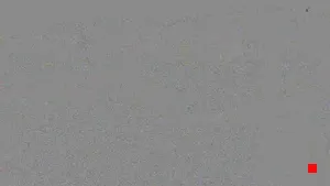 Caméra IP - US