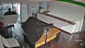 Caméra IP - PT