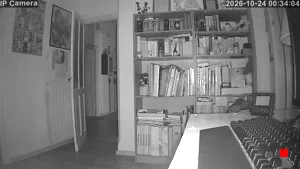Caméra IP - IT