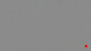 Caméra IP - US