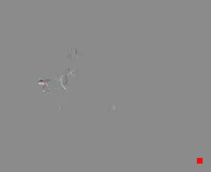 Caméra IP - IR