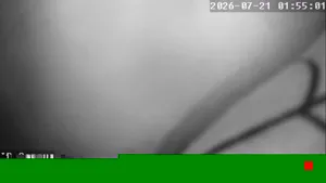 Caméra IP - IR