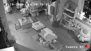 Caméra IP - DE