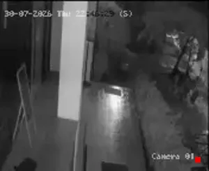 Caméra IP - TH
