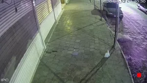 Caméra IP - IR