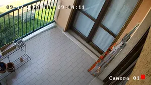 Caméra IP - IT