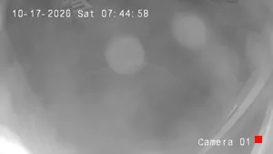 Caméra IP - US