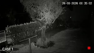Caméra IP - IT