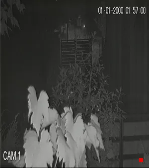 Caméra IP - IT