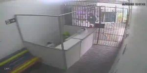 Caméra IP - BR