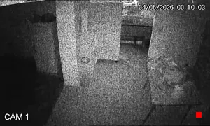 Caméra IP - AR