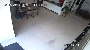 Caméra IP - CN