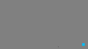 Caméra IP - RO