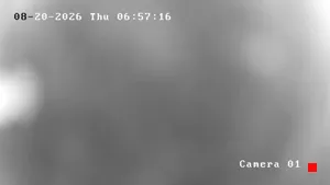 Caméra IP - US