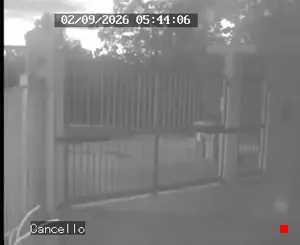 Caméra IP - IT
