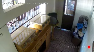 Caméra IP - GR