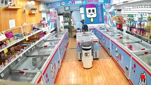 Caméra IP - KR