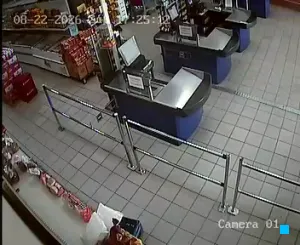 Caméra IP - GR