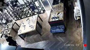 Caméra IP - MX