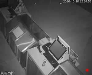 Caméra IP - CN