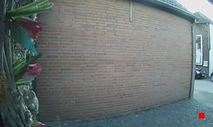 Caméra IP - DE