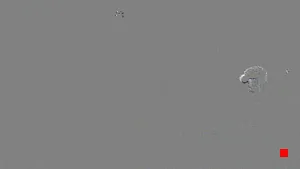 Caméra IP - IR