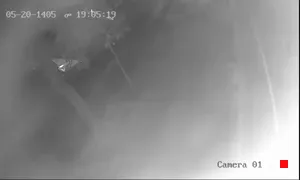 Caméra IP - IR