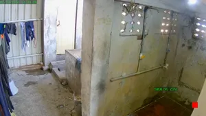 Caméra IP - IN