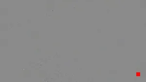 Caméra IP - ES