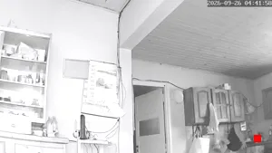 Caméra IP - AR