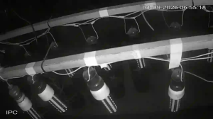 Caméra IP - AR