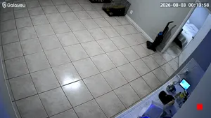 Caméra IP - US