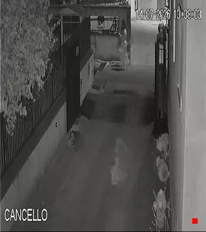 Caméra IP - IT
