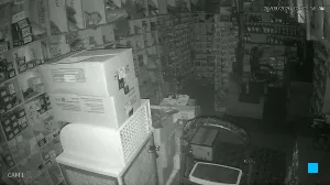 Caméra IP - IN