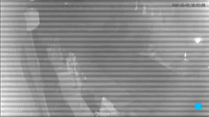Caméra IP - MY