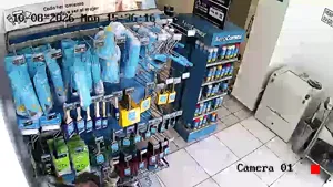Caméra IP - MX
