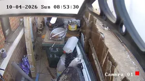 Caméra IP - IN