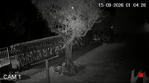 Caméra IP - IT