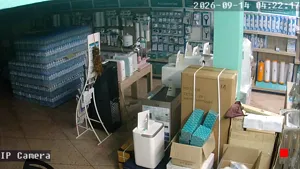 Caméra IP - TH
