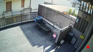 Caméra IP - IT