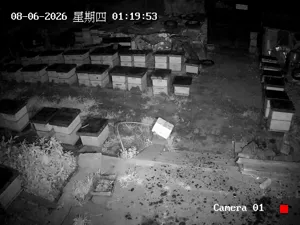 Caméra IP - CN