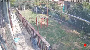 Caméra IP - IT