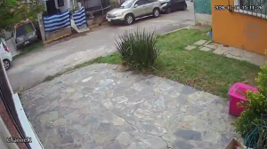Caméra IP - MX